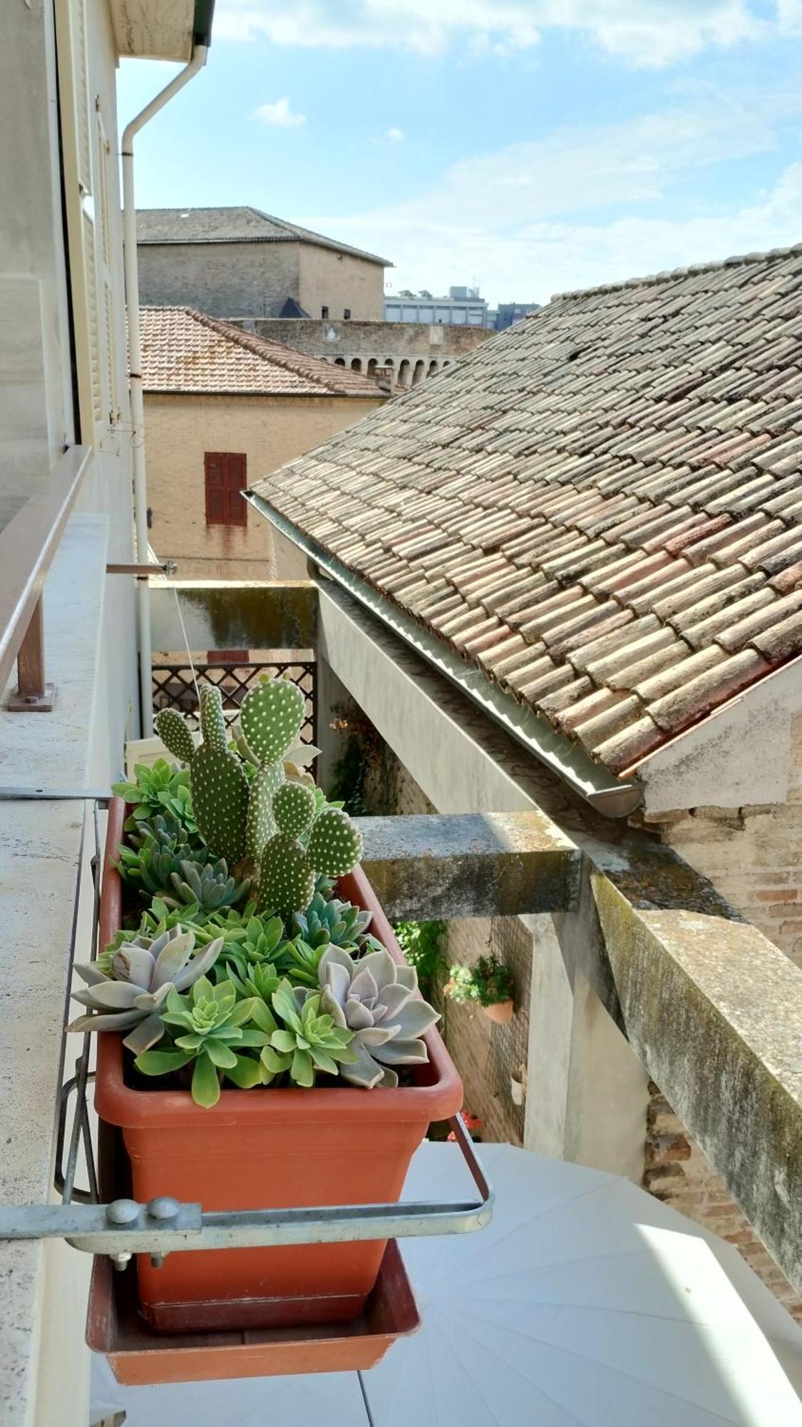 Palazzo Cavalletti - Appartamenti Nel Cuore Di Senigallia Exteriör bild